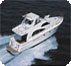 Cruises